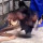 Video Induk Ayam Lindungi Anaknya dari Ular Kobra Ini Bikin Terharu