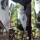 Emak-Emak Ini Pukuli Ular yang Coba Mangsa Burung Suaminya di Dalam Sangkar