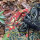 Bikin Merinding, Pemuda Ini Lepaskan 59 Bayi King Kobra yang Dibungkus Kain Batik ke Hutan
