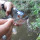 Pria Ini Tes Ketajaman Gigi Ikan Piranha, Hasilnya Sungguh Mengerikan