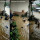 Rumahnya Terendam Banjir, Bocah-bocah Ini Malah Asyik Berenang di Halaman