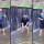 Kejatuhan Ular Saat Foto-foto di Air Terjun Mini, Pria Ini Tetap Santuy