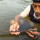Nyelam Di Sungai Brantas, Bapak Temukan Keris yang Diklaim Milik Raja Majapahit Pertama