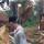 Video Pohon di Kuburan Bisa Berdiri Kembali Setelah Ditebang Ini Viral