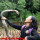 Video Dede Inoen Tangkap King Kobra Besar Penunggu Makam Kuno Ini Sungguh Menegangkan