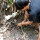 Pemuda Ini Tangkap Banyak Ular Kadut di Pinggir Sungai Bak Cari Cacing