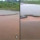 Anaconda 8 Meter Seberangi Sungai Dangkal Ini Sungguh Mengerikan, Bisa Telan Sapi