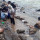 Video Viral Emas Muncul di Sungai di Aceh, Warga Berduyun Duyun Bawa Kuali