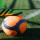 Jelaskan Pengertian Permainan Sepak Bola, Ketahui Sejarah, Teknik, Peraturan Serta Ukuran Lapangan