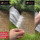 Video Perempuan Buang Cincin Tunangan di Sungai di Borobudur Ini Viral