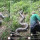 Penampakan Anaconda Raksasa di Tengah Hutan Ini Sungguh Mengerikan