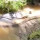 Seram, Detik-detik Penemuan Ular King Kobra Terbesar di Sungai