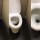 Sembunyi Di Toilet, Piton Besar Ini Masuk ke Lubang Saat Ada Orang