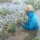 Tanaman Melonnya Terendam Banjir, Petani Ini Menangis Tersedu-sedu dan Bikin Haru