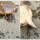 Kelemahan Kura-kura, Didekati Kepiting Langsung Terjungkal hingga Guling-guling