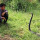 Pria Ini Tangkap King Kobra Sepanjang 5 Meter Penunggu Kebun yang Meresahkan Petani