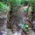 Nekat Usik Anaconda Raksasa di Dalam Sungai Pakai Kayu, Pria Ini Akhirnya Diserang