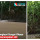 Viral, Dua Buaya Penghuni Sungai Cikaso Sukabumi Ini Dijuluki Euis dan Nyai