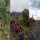 Warga Desa di Papua Ini Gotong Royong Babat Hutan Bangun Jalan Menuju Sekolah