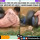 Viral Video Seorang Pria Berusaha Lepaskan Diri dari Belitan Ular Anaconda Besar