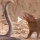 Detik-detik Musang Bikin Kabur King Kobra, Kocak Banget