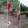 Cerita Penangkapan Buaya 4,5 Meter yang Serang Pemancing & Diangkut Pakai Buldozer