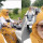 Konvoi Naik Motor di Jalanan, Rombongan Emak-Emak Ini Kompak Tak Kenakan Helm