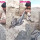 Pakai Sarung, Pria Ini Dengan Santai Ambil Kumpulan Ular Kobra dari Sarangnya