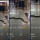 Ular Piton Besar Merayap Di Lantai Pusat Perbelanjaan Ini Bikin Merinding