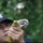 Dua Pemuda Ini Tangkap King Kobra Besar dan Ganas di Kebun Sawit