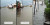 Kota Semarang Dikepung Banjir, Jalanan Berubah Jadi Sungai