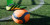 Jelaskan Pengertian Permainan Sepak Bola, Ketahui Sejarah, Teknik, Peraturan Serta Ukuran Lapangan
