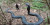Dokter Ini Beberkan King Kobra Raksasa Sepanjang 17 Meter yang Disimpan LIPI