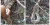 Seorang Diri, Pria Ini Berusaha Tarik Ular Piton 7 Meter di Perkebunan Akasia