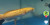 Ikan Toman Golden Warna Kuning Ini Langka, Netizen Langsung Tanya Harga