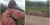 Mau Mancing di Sungai Kebun Sawit, Rombongan Angler Ini Bertemu Buaya di Jalan