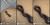Terjebak Di Sumur, Tikus Kecil & Katak Ini Malah Jadikan Tubuh Kobra Sebagai Sekoci