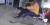 Video Pria Diserang Ular Kobra saat Duduk di Antrean, Refleknya Bikin Kagum